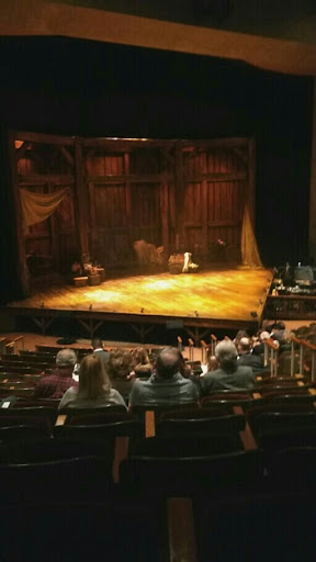 Performing Arts Theater «Power Center for the Performing Arts», reviews and photos, 121 Fletcher St, Ann Arbor, MI 48109, USA