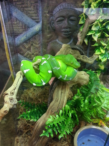 Pet Store «Pet Kingdom», reviews and photos, 3191 Sports Arena Blvd, San Diego, CA 92110, USA