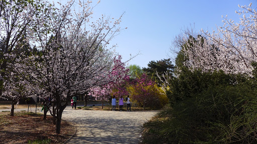 中科院植物所北京植物园