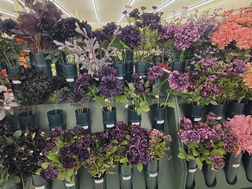 Craft Store «Hobby Lobby», reviews and photos, 8195 S Tamiami Trail, Sarasota, FL 34231, USA