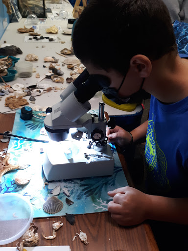 Aquarium «Explore the Ocean World, llc Oceanarium», reviews and photos, 367 Ocean Blvd, Hampton, NH 03842, USA