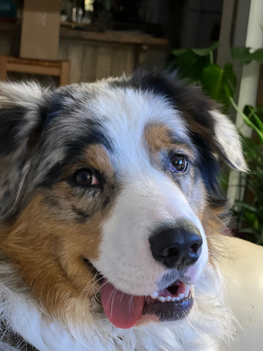 114 Woodland Dr, Coatesville, PA 19320, USA