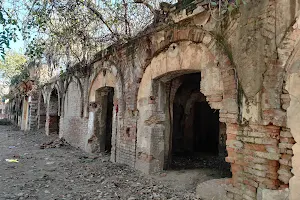 Lodhi Fort (Purana Qila) image