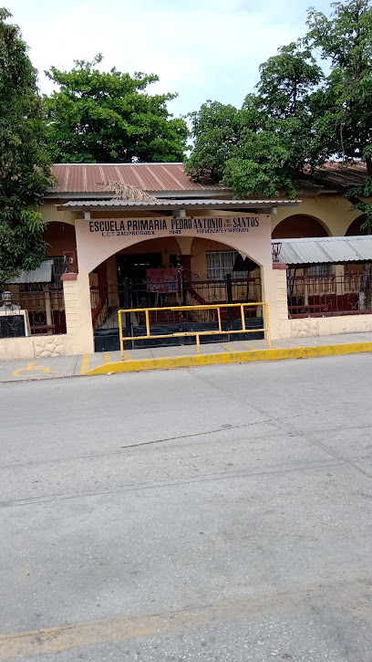 Escuela Primaria Pedro Antonio de los Santos