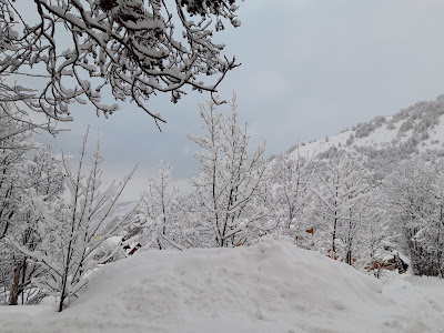 Residence Bel Alp à Valloire