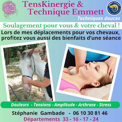 Stephanie GAMBADE Praticienne Animalier Cavignac Chevaux chiens chats etc à Cavignac