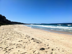 Foto di Monument Beach ubicato in zona naturale