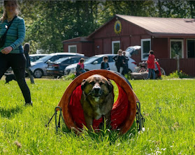 Tønder Civile Hundeførerforening
