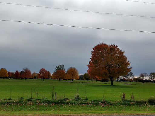 Golf Course «States Golf Club», reviews and photos, 20 E W Ave, Vicksburg, MI 49097, USA