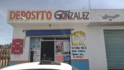 Deposito González
