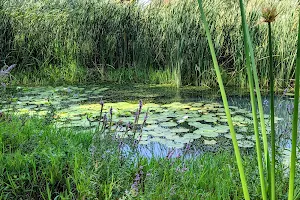 Mekorot HaYarkon Gan Leumi Yarkon image