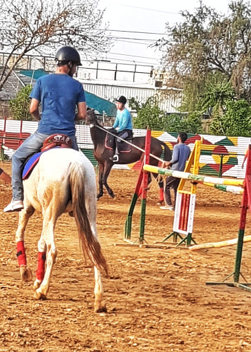 Dressage lessons Delhi