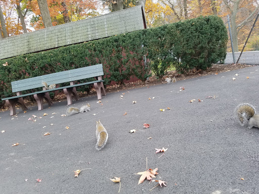 Casino «Casino @ Delaware Park», reviews and photos, 777 Delaware Park Blvd, Wilmington, DE 19804, USA