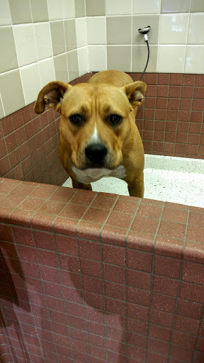 Pet Supply Store «Pet Food Express», reviews and photos, 9153 W Olympic Blvd, Beverly Hills, CA 90212, USA