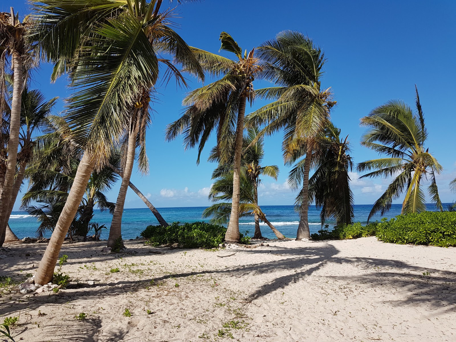 Foto de Pelican Cove beach e o assentamento