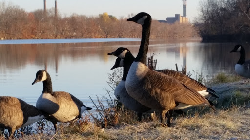 State Park «Riverfront State Park», reviews and photos, Everett St & Eaton St, Lawrence, MA 01843, USA