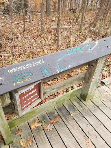 Tourist Attraction «Brandywine Gorge Trail», reviews and photos, 8176 Brandywine Rd, Sagamore Hills, OH 44067, USA
