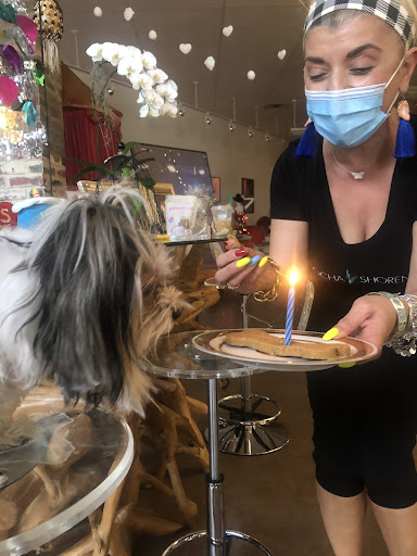 Dance School «Gocha Shorena Center of Ballroom Dance», reviews and photos, 2507 Knight St, Dallas, TX 75219, USA