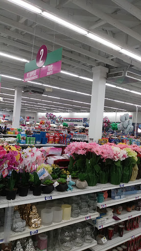 Discount Store «99 Cents Only Stores», reviews and photos, 4144 N Oracle Rd, Tucson, AZ 85705, USA