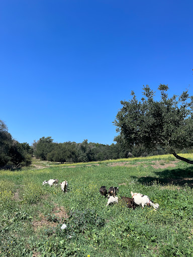 Twin Creeks Farm Find Farm in Sacramento news