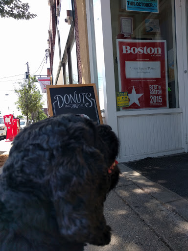 Donut Shop «Union Square Donuts», reviews and photos, 20 Bow St, Somerville, MA 02143, USA