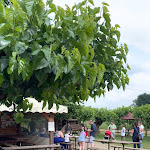 Photo n°1 de l'avis de Alberto.i fait le 10/06/2023 à 10:08 sur le  Cospalat à Pagnacco