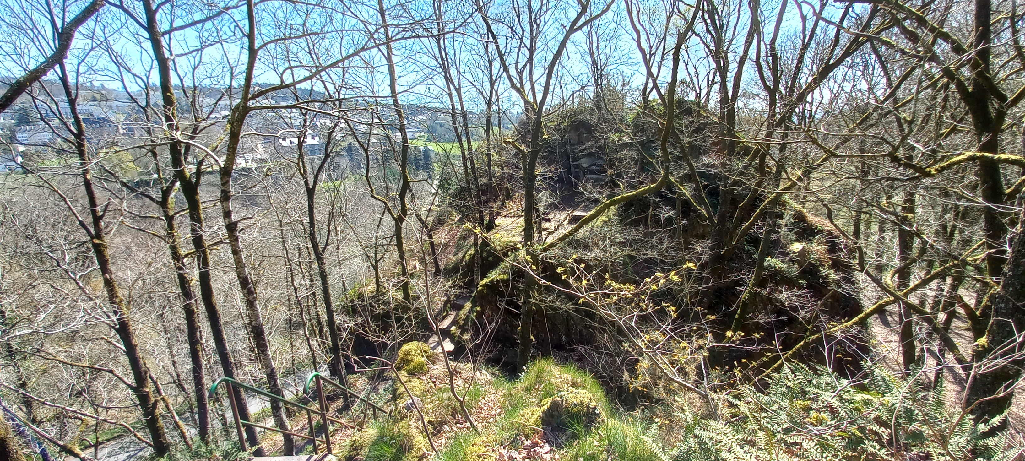 Photo n° 26 de l'avis de Françoise.o fait le 16/04/2023 à 15:18
