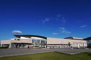 Shigin Ishii Dome image