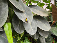 MCM Realty Investment Analysts - Photo 9 - Car repair in Oakland, CA, Oakland