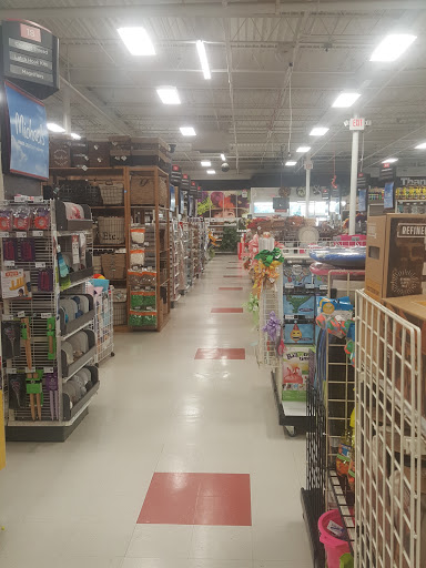 Craft Store «Michaels», reviews and photos, 200 W Dekalb Pike, King of Prussia, PA 19406, USA