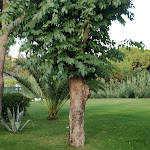 Photo n°4 de l'avis de maurizio.i fait le 09/09/2018 à 21:27 sur le  Hotel dei Coralli à Campo nell'Elba