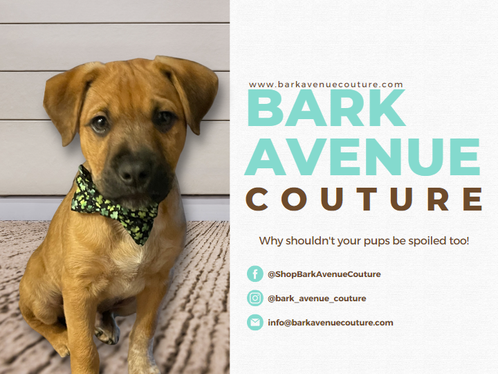 Bark Avenue Couture