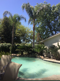 LS Landscaping and Tree Care - Photo 6 - Car repair in Stockton, CA, Stockton