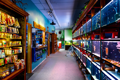 Tropical Fish Store «Aquarium Co-Op», reviews and photos, 9661 Firdale Ave, Edmonds, WA 98020, USA