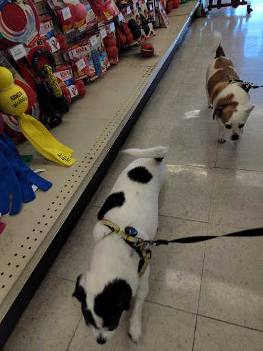 Pet Supply Store «Concord Pet Foods & Supplies», reviews and photos, 19287 Miller Rd, Rehoboth Beach, DE 19971, USA