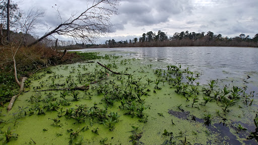 Park «Lakeside Park», reviews and photos, 5001 South Alden Bridge Drive, The Woodlands, TX 77382, USA