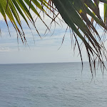 Photo n°9 de l'avis de Elena.o fait le 15/09/2023 à 15:42 sur le  Club Hotel Baia di Diamante à Diamante