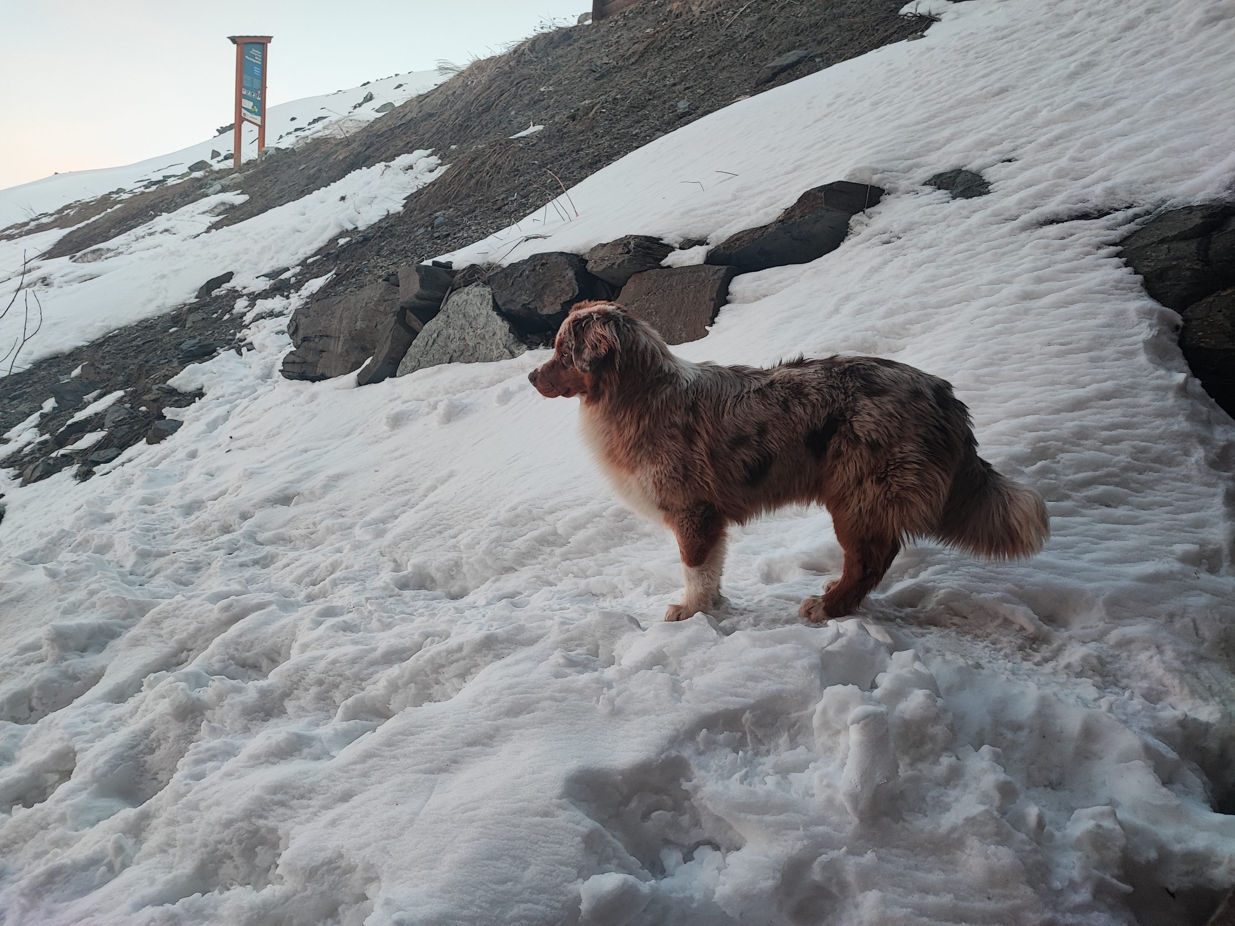 Photo n° 3 de l'avis de Jan.u fait le 10/03/2024 à 10:21