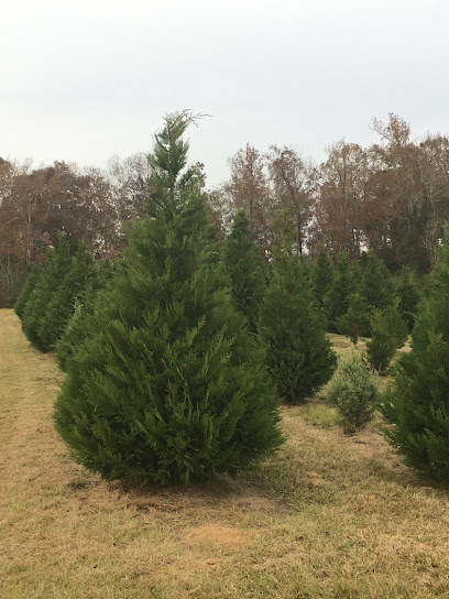 Stephens Christmas Tree Farm