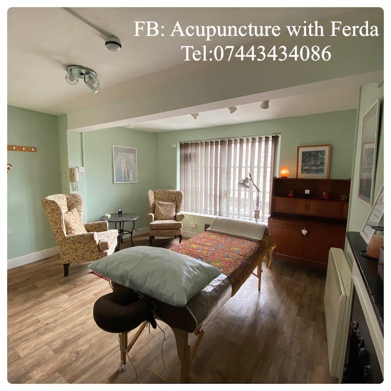 Acupuncture with Ferda Mesquita Barros