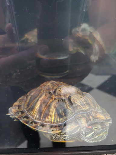 Pet Supply Store «Petco Animal Supplies», reviews and photos, 1410 N Loop 336 W, Conroe, TX 77304, USA