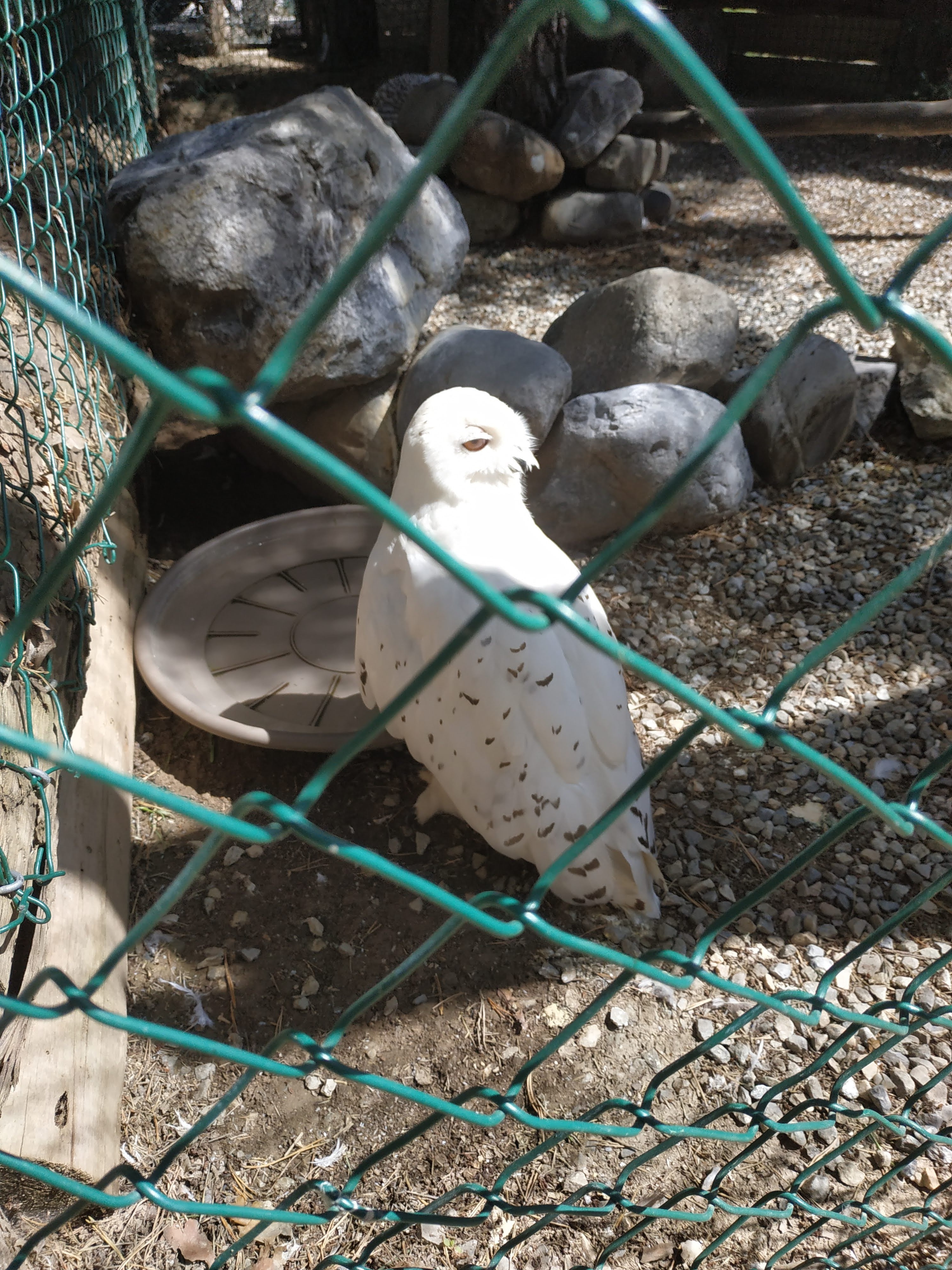 Photo n° 3 de l'avis de Roszak.a fait le 16/08/2021 à 07:13