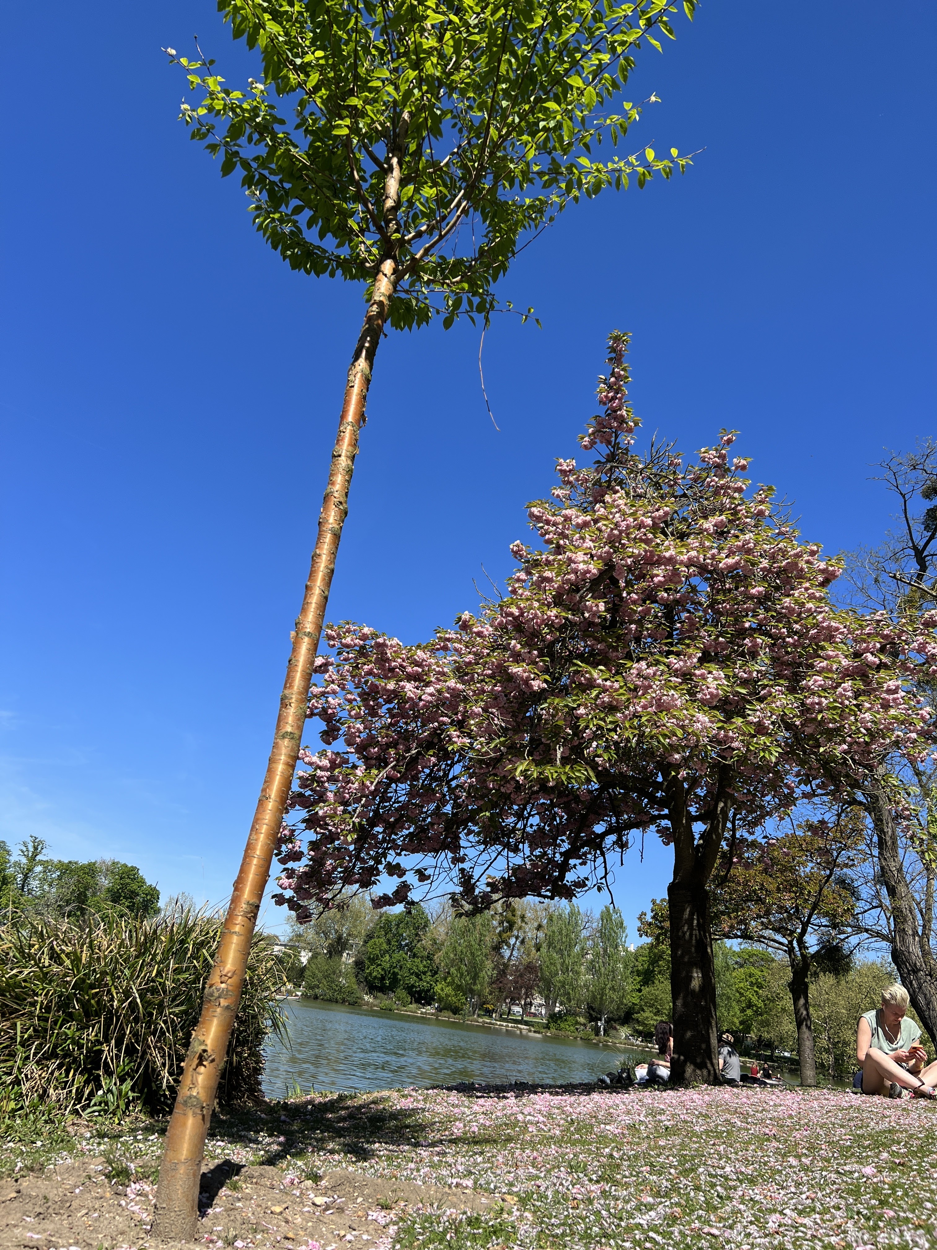 Photo n° 2 de l'avis de Julius. fait le 26/04/2022 à 20:12