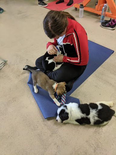 Pet Supply Store «Four Legs Pets Gilberts», reviews and photos, 133 E Higgins Rd, Gilberts, IL 60136, USA