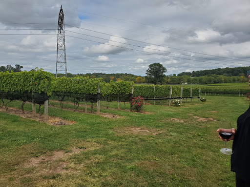 Winery «Beneduce Vineyards», reviews and photos, 1 Jeremiah Ln, Pittstown, NJ 08867, USA