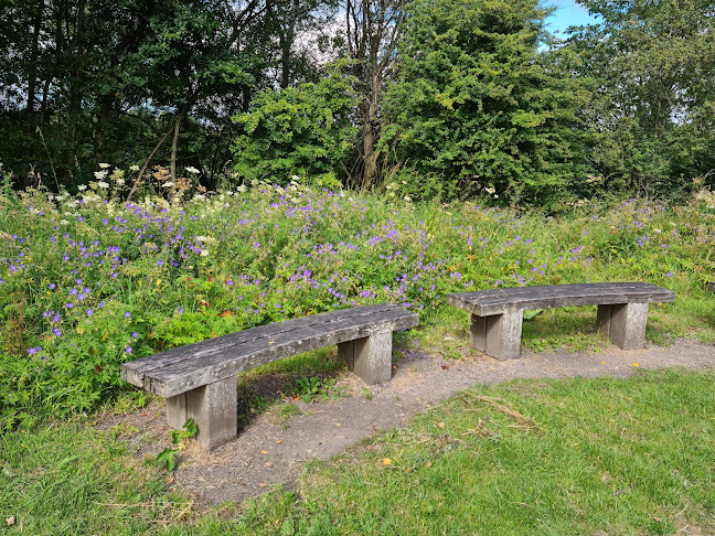 Comments and reviews of Preston Junction Nature Reserve