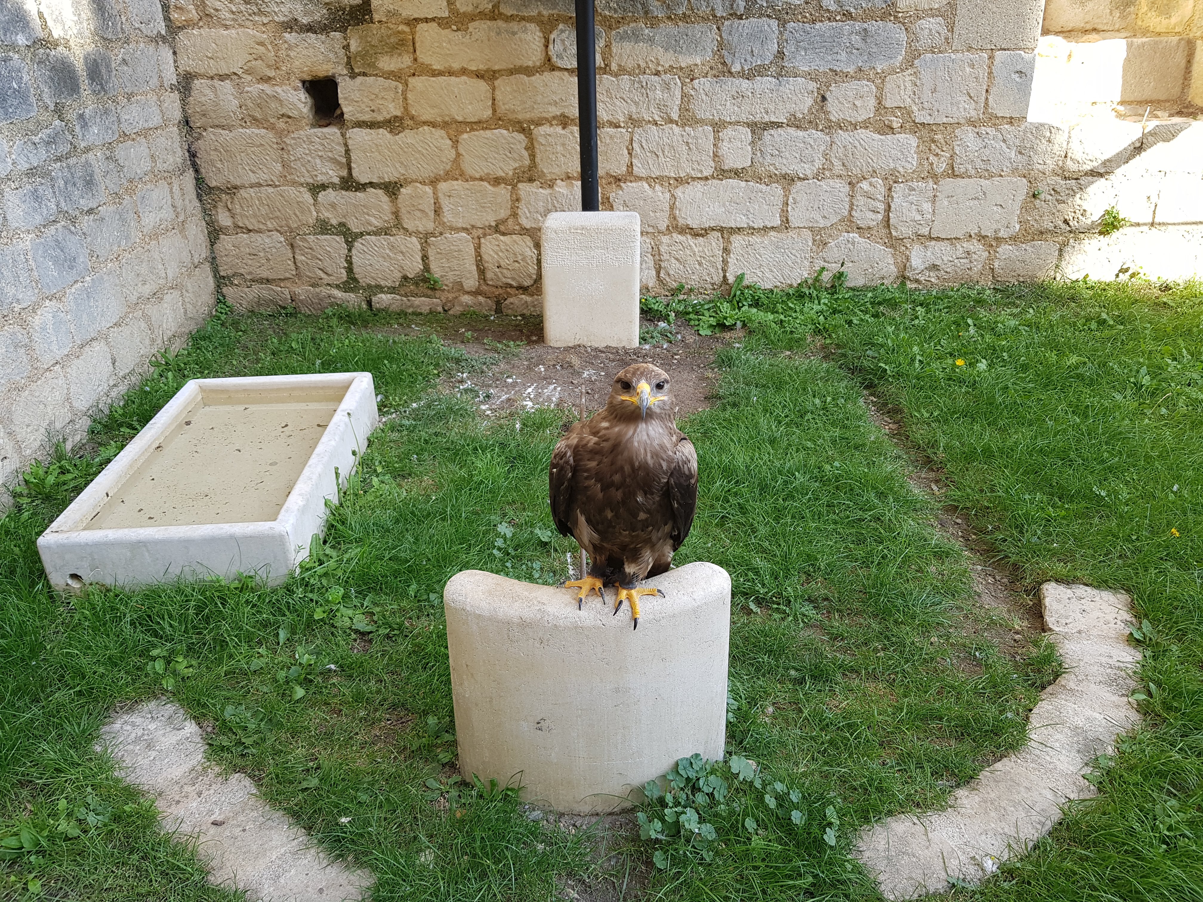 Photo n° 27 de l'avis de Alexandre.L fait le 24/09/2017 à 17:00