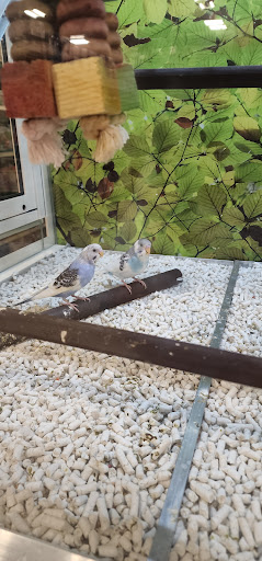 Pet Supply Store «PetSmart», reviews and photos, 1671 E Market St, Harrisonburg, VA 22801, USA