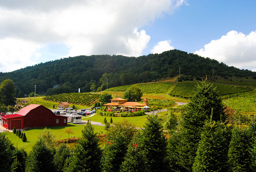 Vineyard «Linville Falls Winery», reviews and photos, 9557 Linville Falls Hwy, Newland, NC 28657, USA