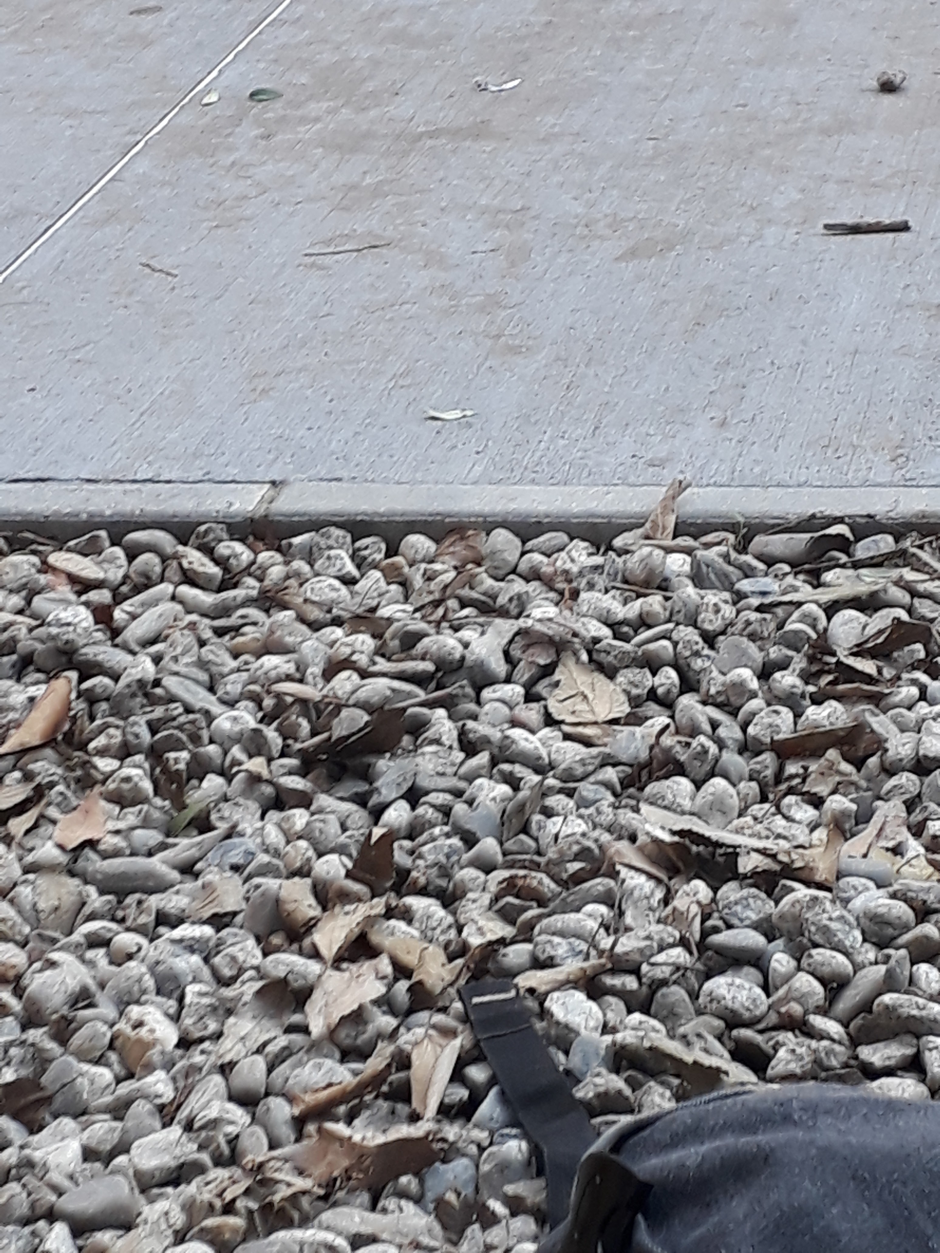 Photo n° 25 de l'avis de William.m fait le 11/12/2018 à 12:09